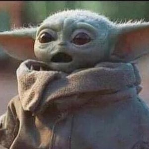 Meet your Posher, Patty